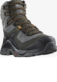 SALOMON shoes Quest Element GTX pewter/beluga/buckskin