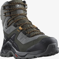SALOMON shoes Quest Element GTX pewter/beluga/buckskin
