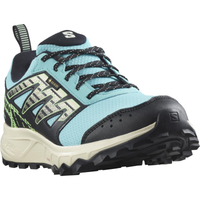 SALOMON apavi Wander GTX W blue/green/black