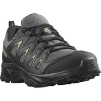 SALOMON apavi X Braze GTX black/grey