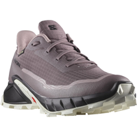SALOMON shoes Alphacross 5 GTX moonscape/black/white