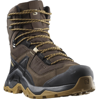 SALOMON shoes Quest Element GTX delicioso/black/dull gold