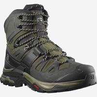 SALOMON shoes Quest 4 GTX olive night/peat/safari