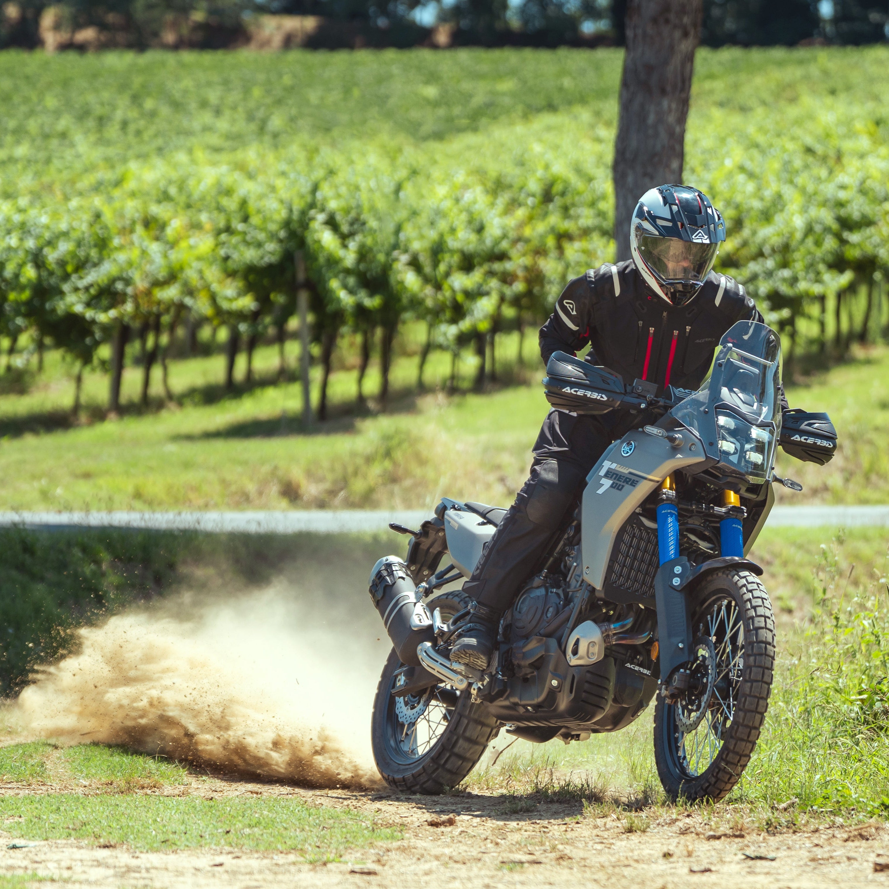 Person riding a motorcycle through a vineyard