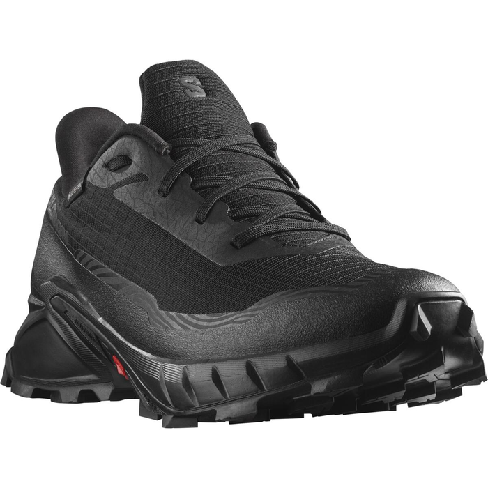 SALOMON shoes Alphacross 5 GTX black/black/ebony