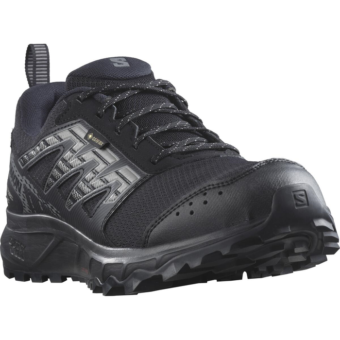 SALOMON apavi Wander GTX W black/grey