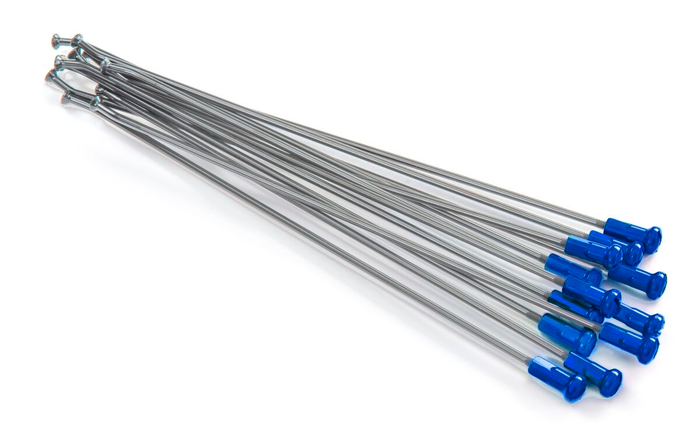 KITE spieķu kompl 19" Spoke silver/nipples blue 12gb