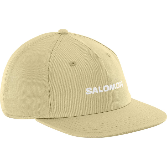 SALOMON cap Logo Flat grey green
