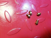 husqvarna-smidzinatajs-ellas