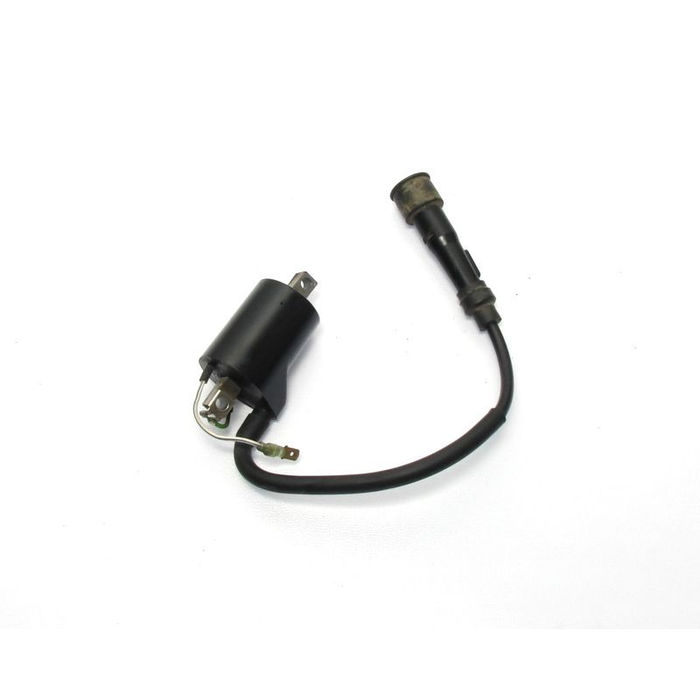 HUSQVARNA indukcijas spole 4T 250-501 '09-'21