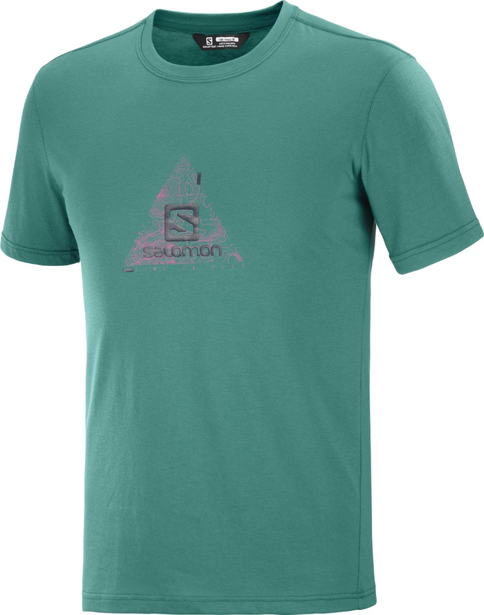 SALOMON T shirt Explore Blend Tee green