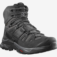 SALOMON apavi Quest 4 GTX black