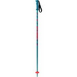 Alpine ski poles