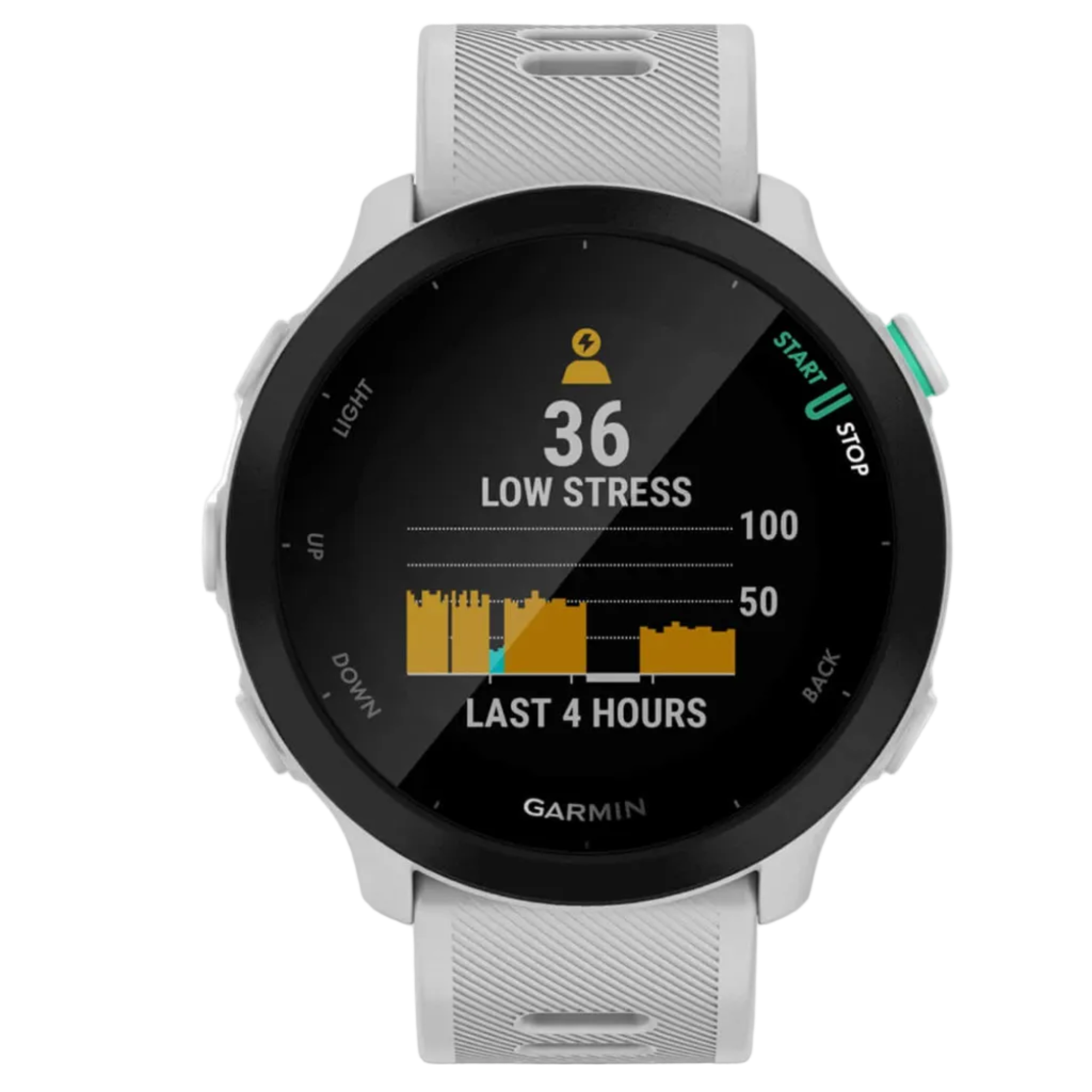 GARMIN watch Forerunner 55 GPS EURC whitestone