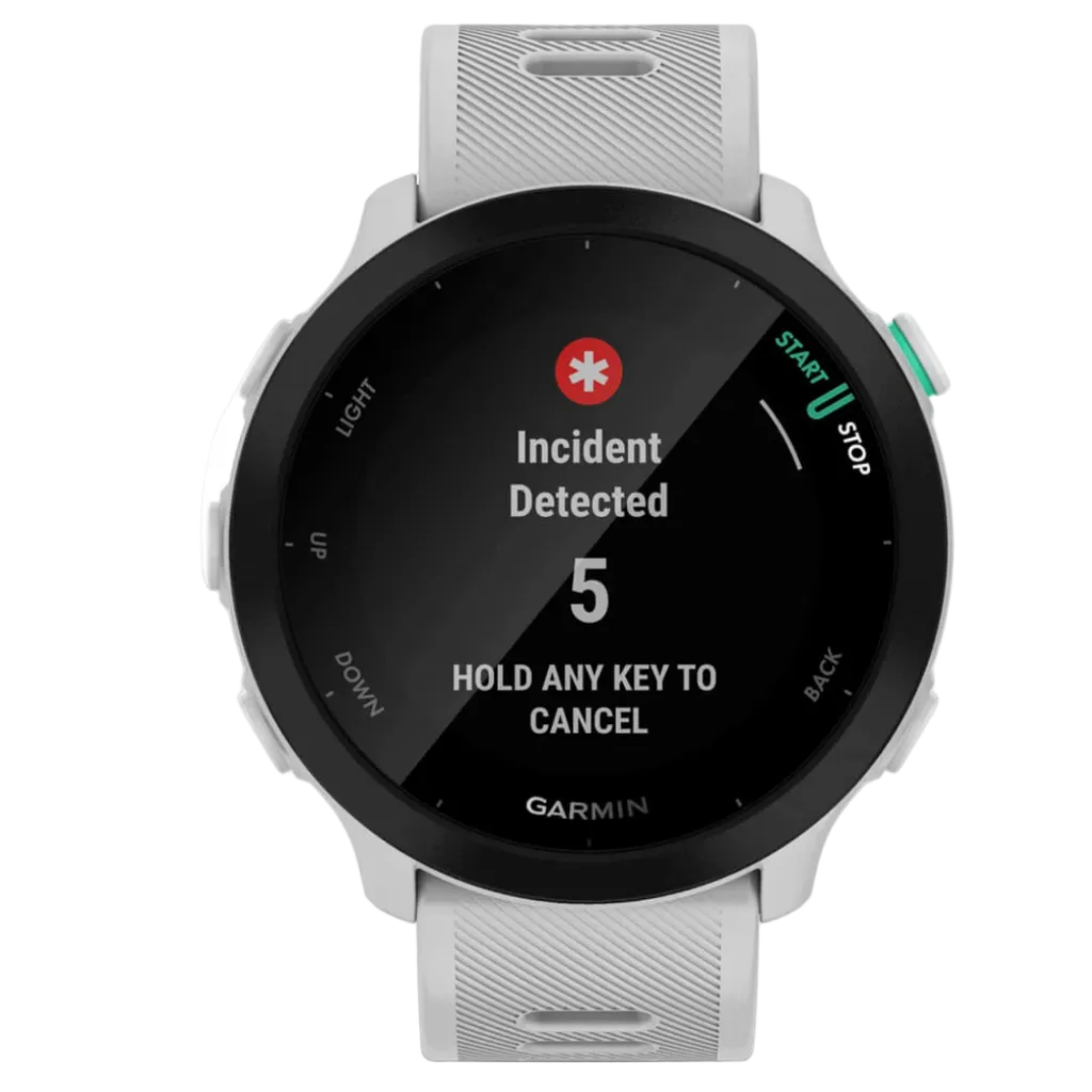 GARMIN watch Forerunner 55 GPS EURC whitestone