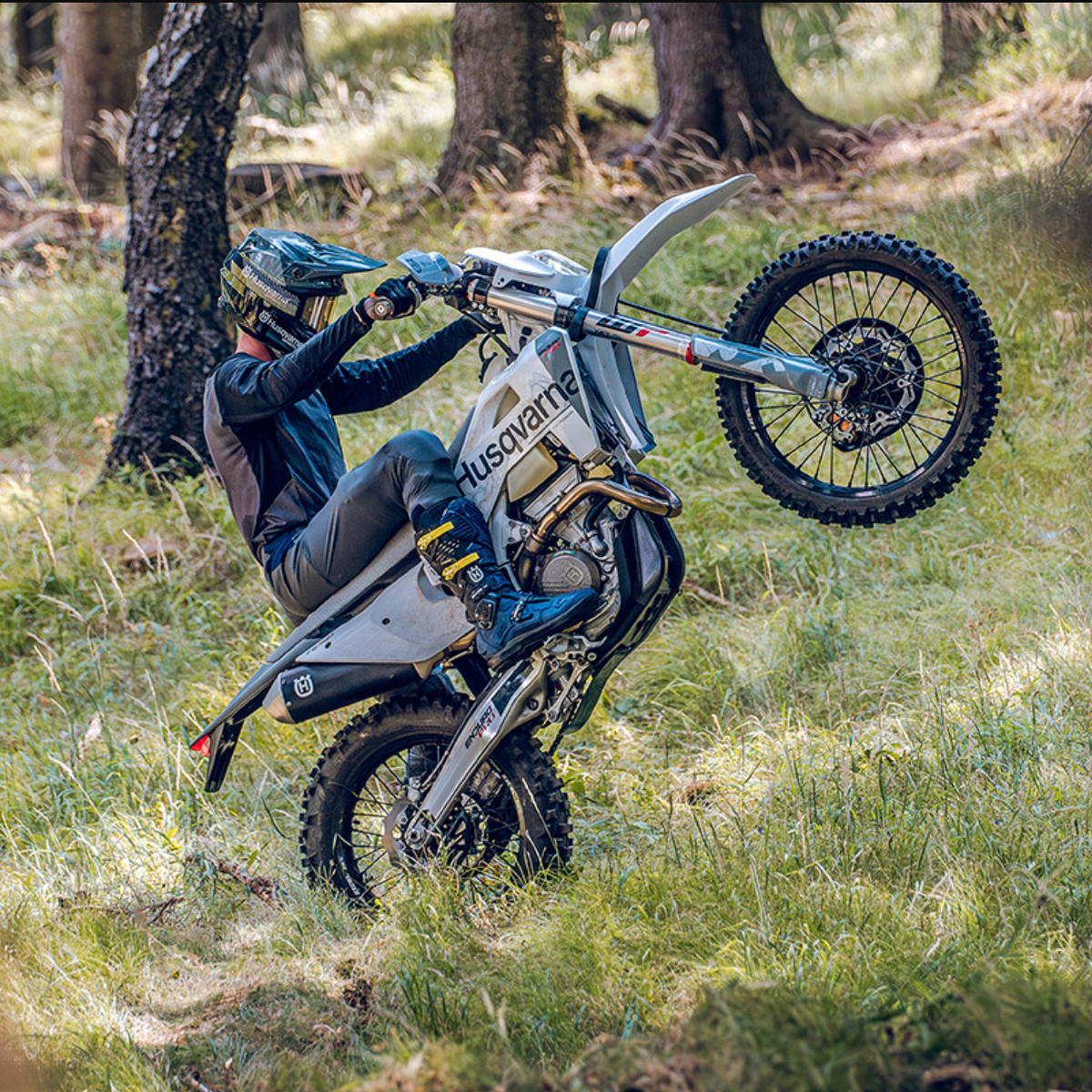 HUSQVARNA motocikls FE 350 PRO '27