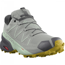 SALOMON apavi Speedcross 5 GTX W light green/grey 