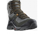 SALOMON apavi Quest Element GTX grey/dark green/black 