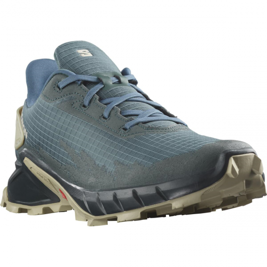 SALOMON apavi Alphacross 4 blue/dark blue/grey 