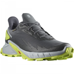 SALOMON apavi Alphacross 4 GTX grey/green 