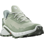 SALOMON apavi Alphacross 4 GTX W green/white 