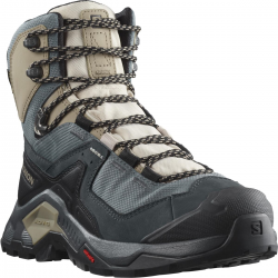 SALOMON apavi Quest Element GTX W light blue/grey/brown 