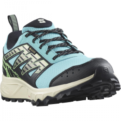 SALOMON apavi Wander GTX W blue/green/black 