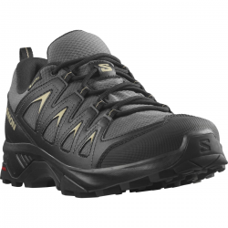 SALOMON apavi X Braze GTX black/grey 