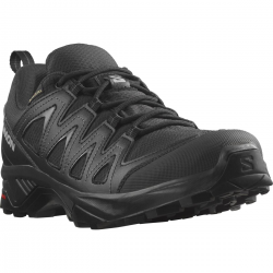 SALOMON apavi X Braze GTX black 