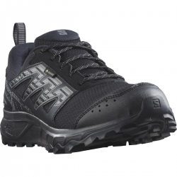 SALOMON apavi Wander GTX black/grey 