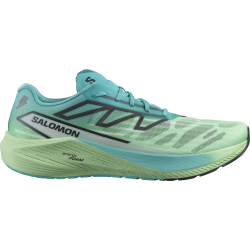 SALOMON apavi Aero volt 2 green/blue/white 