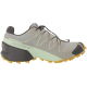 SALOMON apavi Speedcross 5 GTX W light green/grey 