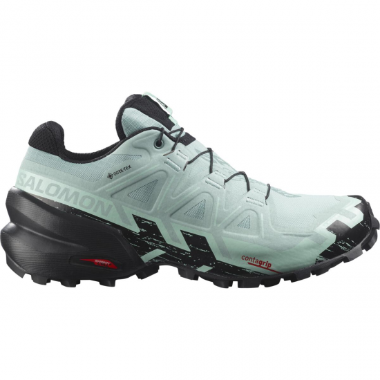 SALOMON apavi Speedcross 6 GTX W light green/black 