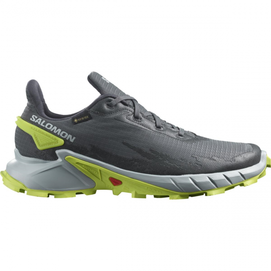 SALOMON apavi Alphacross 4 GTX grey/green 