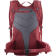 SALOMON soma muguras Trailblazer 20 red/dark red