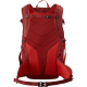 SALOMON soma muguras Trailblazer 30 bright red