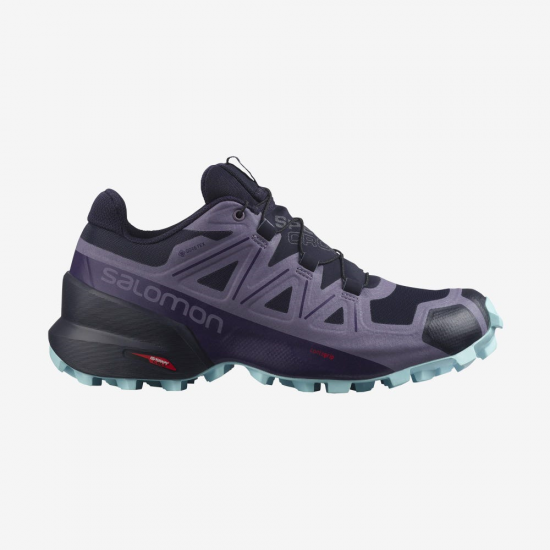 SALOMON apavi Speedcross 5 GTX W violet/blue 