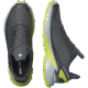 SALOMON apavi Alphacross 4 GTX grey/green 