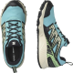 SALOMON apavi Wander GTX W blue/green/black 