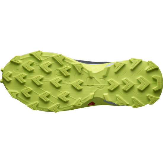 SALOMON apavi Alphacross 4 GTX grey/green 