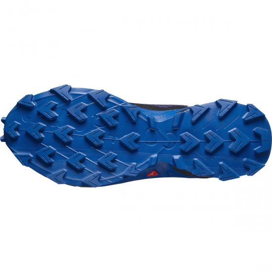 SALOMON apavi Alphacross 5 GTX blue/black 