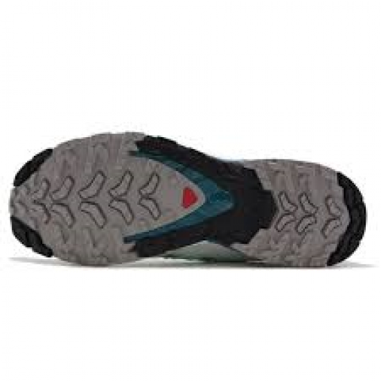 SALOMON apavi XA Pro 3D V9 W white/grey/pink 