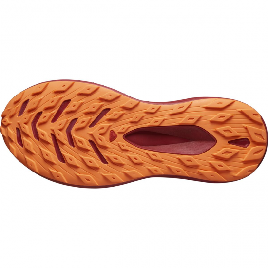 SALOMON apavi Glide Max TR brown/red/orange 