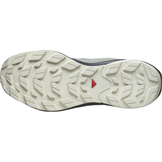 SALOMON apavi Elixir Activ GTX grey/white 