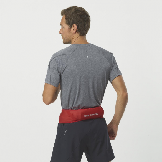 SALOMON josta Pulse Belt red 