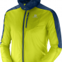 SALOMON vējjaka ar kapuci Fast Wing Hoodie green/blue 