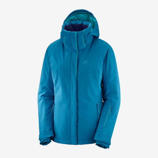 SALOMON jaka W Stormpunch blue 
